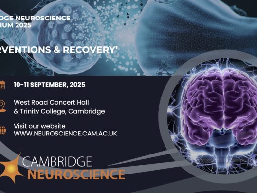 250910 11 Neuroscience