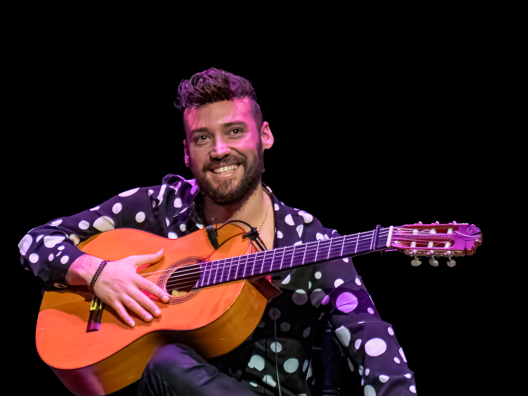 270124 Flamenco